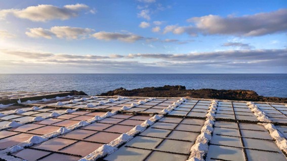 Otoño en La Palma: naturaleza, tranquilidad y gastronomía 2 Otono en La Palma 2