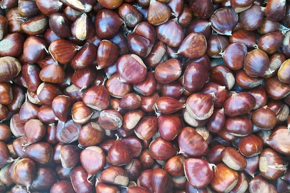 Otoño en La Palma: naturaleza, tranquilidad y gastronomía 5 Otono en La Palma 5